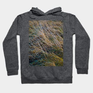 Rainbow grass Hoodie